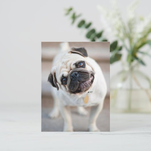 Opwindend ontwerp briefkaart (Staand voorkant)