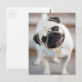 Opwindend ontwerp briefkaart (Voorkant / Achterkant)