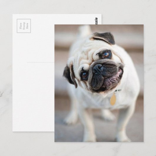 Opwindend ontwerp briefkaart (Voorkant / Achterkant)