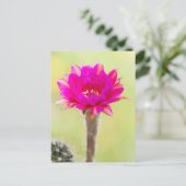 Opwindende antimaterie Cactus Bloom Briefkaart (Staand voorkant)