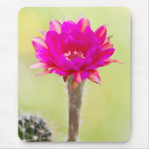 Opwindende antimaterie Cactus Bloom Muismat