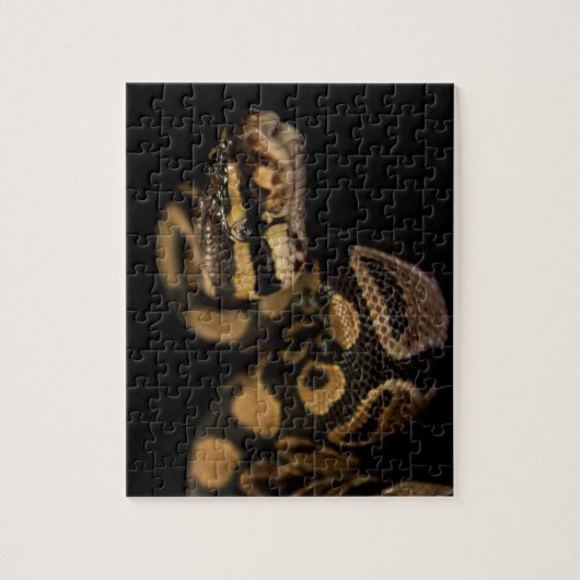 Opwindende slang Puzzle Legpuzzel (Verticaal)