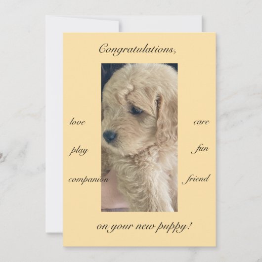 Opwinding, vreugde en plezier, nieuwe puppy, plat kaart (Voorkant)