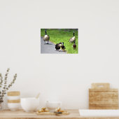 Opzetten van eenden met ganzen poster (Keuken)
