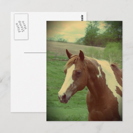 Opzichtige Vintage Briefkaart (Voorkant / Achterkant)