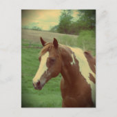 Opzichtige Vintage Briefkaart (Voorkant)