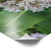 Opzienbarende kleuren foto afdruk (Hoek)