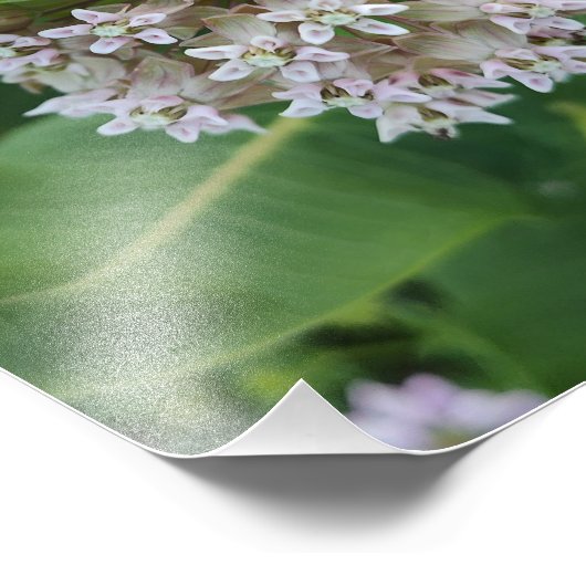 Opzienbarende kleuren foto afdruk (Hoek)