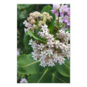 Opzienbarende kleuren foto afdruk (Voorkant)