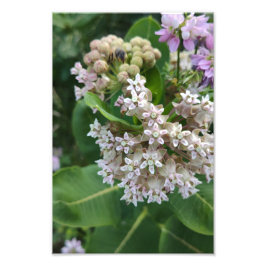 Opzienbarende kleuren foto afdruk