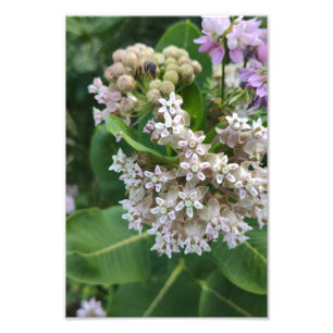 Opzienbarende kleuren foto afdruk