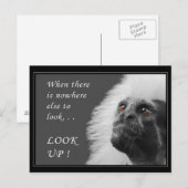 Opzoeken Briefkaart (Voorkant / Achterkant)