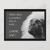 Opzoeken Briefkaart (Voorkant)