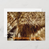 opzoeken briefkaart (Voorkant / Achterkant)