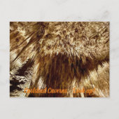 opzoeken briefkaart (Voorkant)