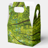 Opzoeken door groene boombladeren bedankdoosjes (Geopend)