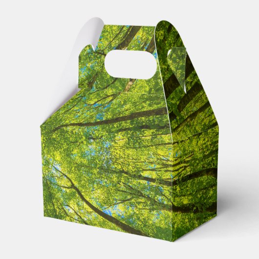 Opzoeken door groene boombladeren bedankdoosjes (Voorkant Zijde)