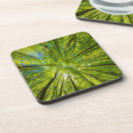 Opzoeken door groene boombladeren bier onderzetter