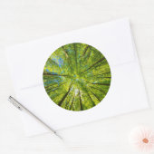 Opzoeken door groene boombladeren ronde sticker (Envelop)