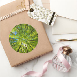 Opzoeken door groene boombladeren ronde sticker