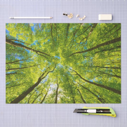 Opzoeken door groene boombladeren tissuepapier (Craft)