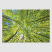 Opzoeken door groene boombladeren tissuepapier (Voorkant)