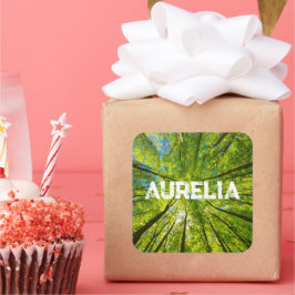 Opzoeken door groene boombladeren vierkante sticker