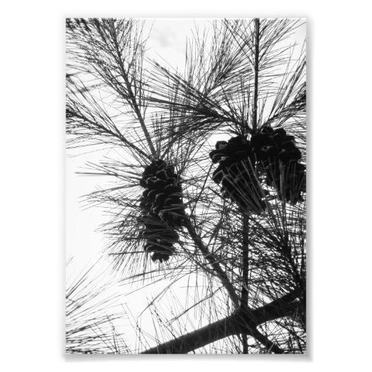 Opzoeken Foto Afdruk (Voorkant)