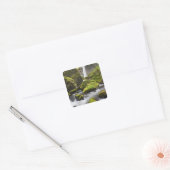 OR, Columbia River Gorge, Elowah Falls and Vierkante Sticker (Envelop)
