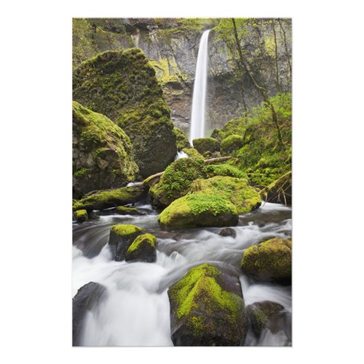 OR, Columbia River Gorge, Elowah Falls en Foto Afdruk (Voorkant)