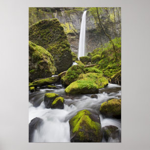 OR, Columbia River Gorge, Elowah Falls en Poster