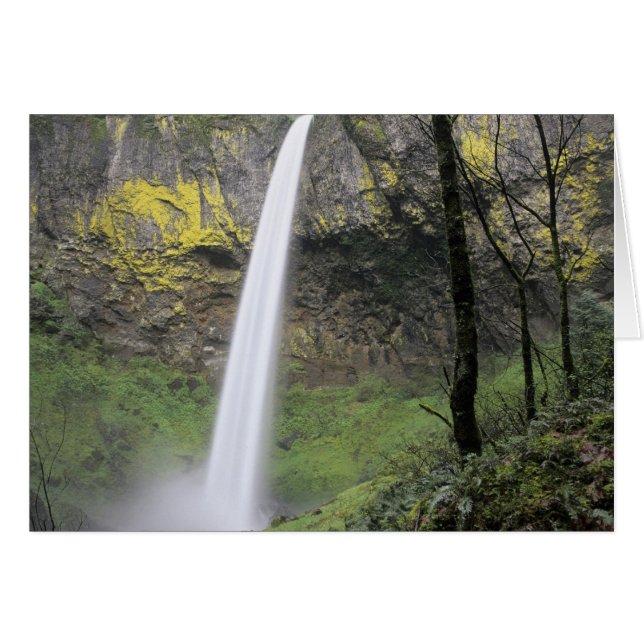 OR, Columbia River Gorge, Elowah Falls, McCord (Voorkant Horizontaal)