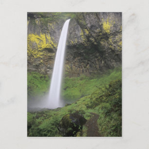 OR, Columbia River Gorge, Elowah Falls, McCord 2 Briefkaart