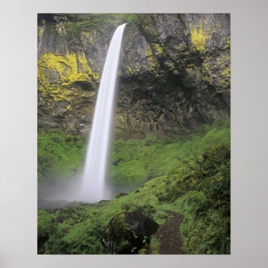 OR, Columbia River Gorge, Elowah Falls, McCord 2 Poster (Voorkant)