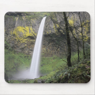 OR, Columbia River Gorge, Elowah Falls, McCord Muismat