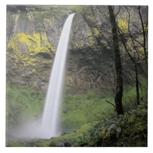OR, Columbia River Gorge, Elowah Falls, McCord Tegeltje
