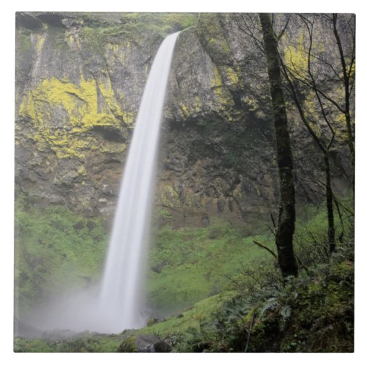 OR, Columbia River Gorge, Elowah Falls, McCord Tegeltje (Voorkant)