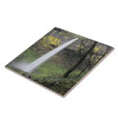 OR, Columbia River Gorge, Elowah Falls, McCord Tegeltje (Zijkant)
