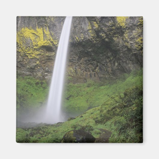 OR, Columbia River Gorge, Elowah Herfsten, McCord Magneet (Voorkant)