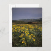 OR, Columbia River Gorge, Rowena Plateau, Tom Briefkaart (Voorkant / Achterkant)