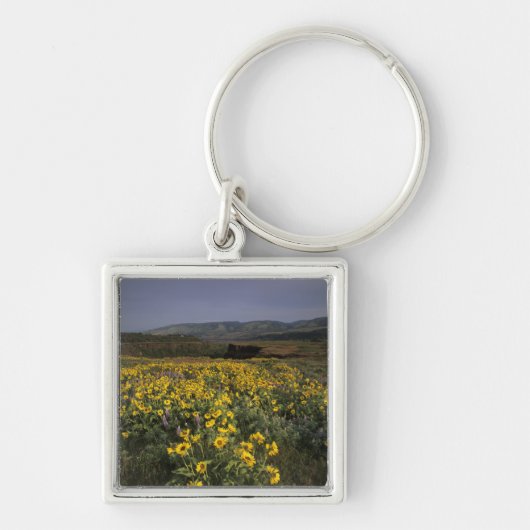 OR, Columbia River Gorge, Rowena Plateau, Tom Sleutelhanger (Voorkant)