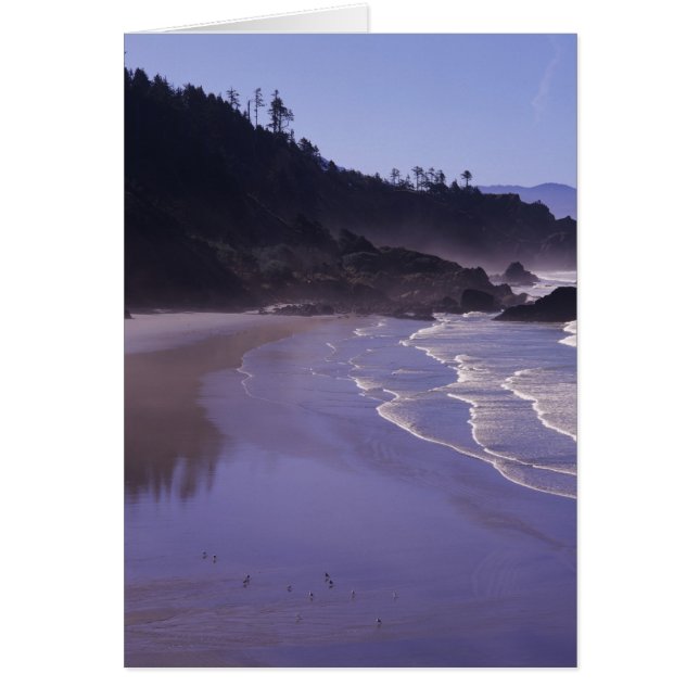 OR, Ecola SP, Indian Beach met ochtendmist (Voorkant)