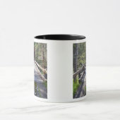 OR, Jackson County, McKee Overdekte Brug Mok (Midden)