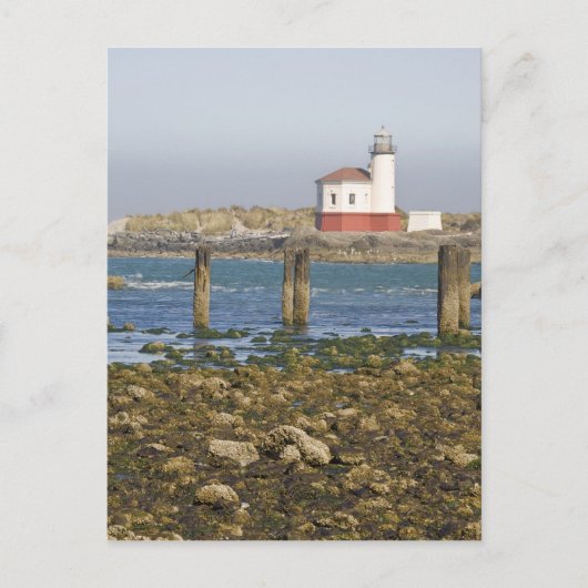 OR, Oregon Coast, Bandon, Coquille River 2 Briefkaart (Voorkant)