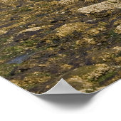 OR, Oregon Coast, Bandon, Coquille River 2 Poster (Hoek)