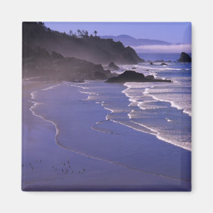 OR, Oregon Coast, Ecola SP, Indiaas strand met Magneet