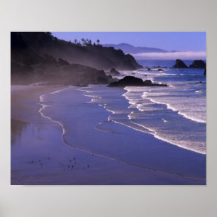 OR, Oregon Coast, Ecola SP, Indiaas strand met Poster