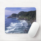 OR, Oregon Coast, Heceta Head Lighthouse, on Muismat (Met muis)