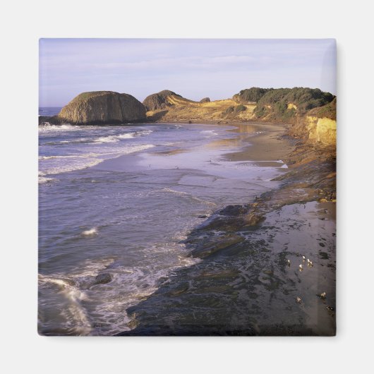 OR, Oregon Coast, Newport, kustlijn bij zegel Magneet (Voorkant)