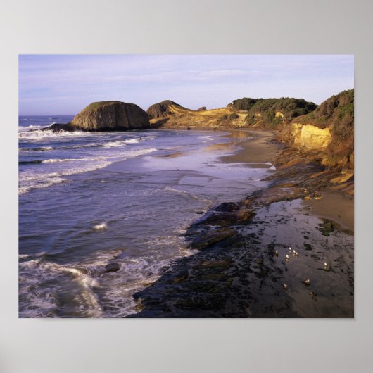 OR, Oregon Coast, Newport, kustlijn bij zegel Poster (Voorkant)